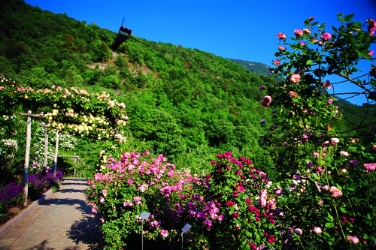 Tripadvisor ha assegnato ai Giardini di Castel Trauttmansdorff il proprio riconoscimento d'eccellenza