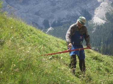 La prima "Dolomites UNESCO LabFest" è dedicata all'attività dello sfalcio (Foto Ufficio parchi naturali)