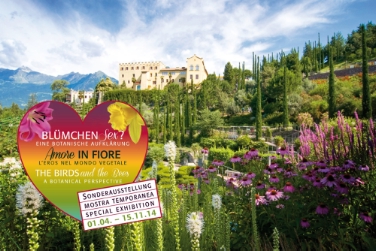 Amore in Fiore: tre conferenze accompagnano omonima mostra temporanea a Castel Trauttmansdorff