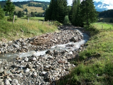 Interventi di ripristino su Rio Jender eseguiti dall'Ufficio sistemazione bacini montani nord (Foto: Ripartizione Opere idrauliche)