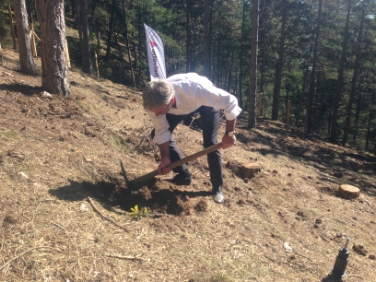 Al lavoro: l'assessore Arnold Schuler pianta uno dei 20mila alberi del progetto "Protection Forest"