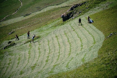 Risarcimenti agli agricoltori di alta montagna