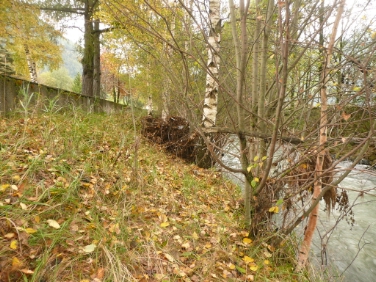 Per motivi di sicurezza al via i lavori di pulitura del secco sulle rive dell'Isarco (Foto USP/Ripartizione opere idrauliche)