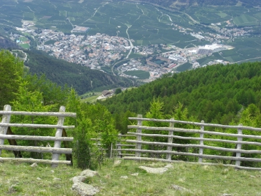 Presentato il progetto di protezione dei lariceti della val Venosta (Foto Ispettorato forestale Silandro)