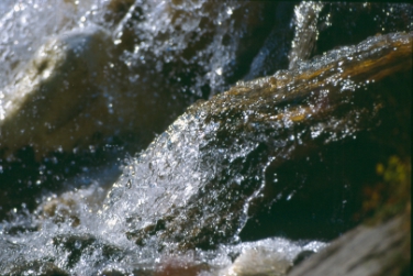 L'uso sostenibile dell'acqua potabile è tema del quarto Forum a Nalles