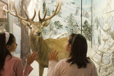 Le sale del castello riaprono ai visitatori dal 1° aprile (FOTO: USP/Scatà)
