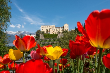 Il 1° aprile riaprono i Giardini di Castel Trauttmansdorff