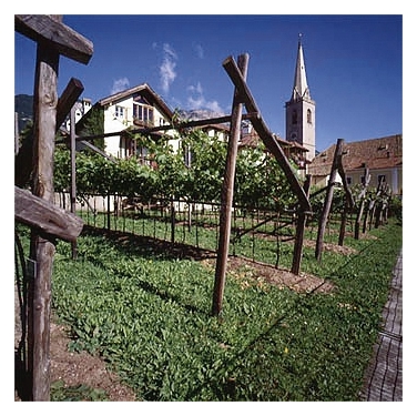 La sede del Museo provinciale del vino