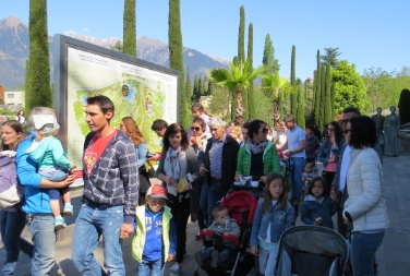 L'escursione annuale dell'Associazione sudtirolese delle famiglie numerose quest’anno ha portato gli iscritti nei Giardini di Castel Trauttmansdorff (Foto Giardini Castel Trauttmansdorff)