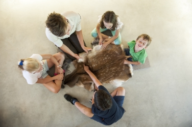 Tutti i sette parchi naturali offrono offerte interattive per i bambini (Foto SMG Alex Filz)