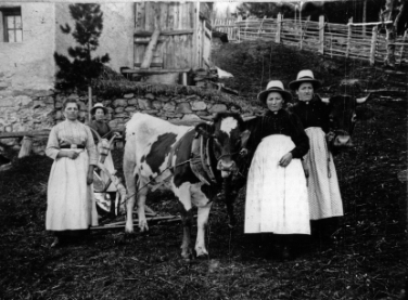 Quattro donne in abbigliamento domenicale con tiro di buoi, Cadipietra in Valle Aurina, 1917 ca.