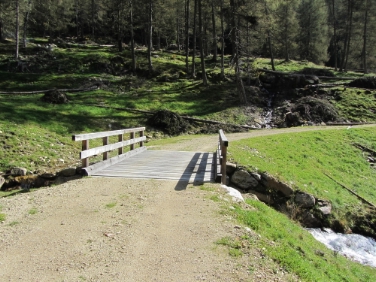 Nei casi di richiesta di contributo provinciale per costruzione di strada, valgono criteri notificati (Foto Ripartizione foreste)