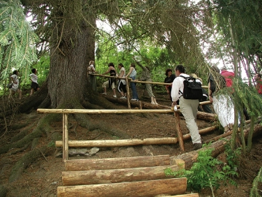 Molto apprezzate le passeggiate nei boschi attorno a Castel Wolfsthurn
