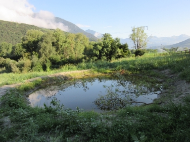 Uno dei tre stagni realizzati nell'ambito del biotopo Prá Millan