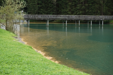 Lo strato giallo-bruno nella diga di Selva dei Molini è stato provocato dalle spore di un parassita che ha attaccato gli abeti (Foto Ufficio provinciale tutela acque)