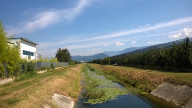 La fossa grande di Caldaro: a fine luglio si è registrata una moria di pesci