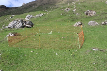 Uno dei sistemi alternativi all'abbattimento è rappresentato dalla recinzione della zona interessata dagli scavi delle marmotte
