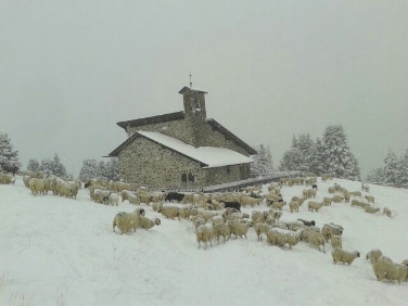La Plose come appariva il 23.09.2015 con 25 centimetri di neve fresca (FOTO: USP/Servizio Meteo Provinciale)