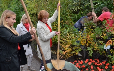 Ulrike Oberhammer, Gabi Strohmer e Martha Stocker alla messa a dimora dell'acacia di Costantinopoli (Foto: USP/Maria Pichler)