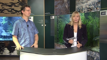 L'esperto di botanica, Thomas Wilhalm, risponde alle domande di Siiri Eydner dell'Euregio Tirolo-Alto Adige-Trentino