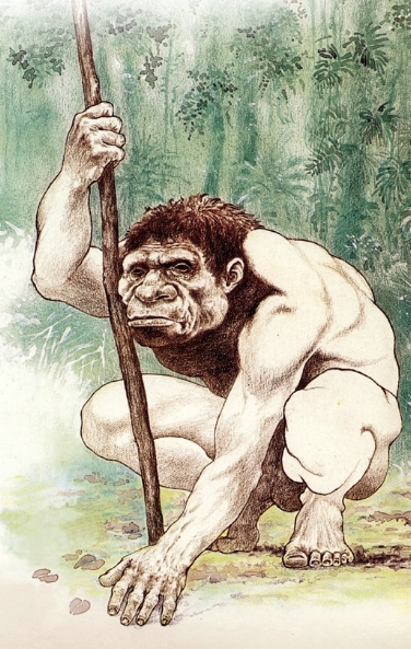 Conferenza al Museo di Scienze Naturali sul tema "Il grande racconto dell’evoluzione umana"