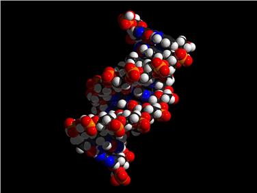 Una raffigurazione del DNA