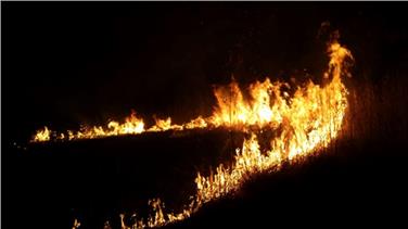 Venerdì sera l'incendio all'interno dell'area tutelata al lago di Caldaro (Foto vigili del fuoco di San Giacomo)