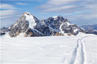 Ortles e Gran Zebrù nel parco nazionale dello Stelvio (Foto Parco nazionale/Thomas Martini)