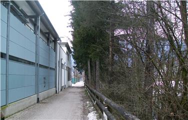 Nel comune di Brunico previsti interventi programmati di taglio delle piante (Foto USP/Ufficio provinciale sistemazione bacini montani est).