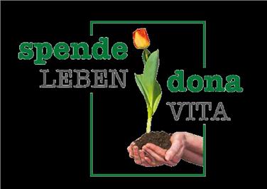 Dona vita - manifesto