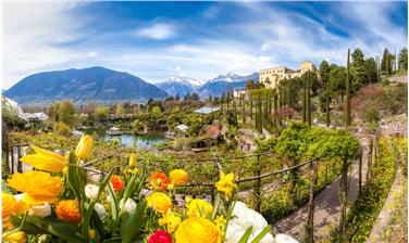 Riaprono venerdì 25 marzo i Giardini di Castel Trauttmansdorff