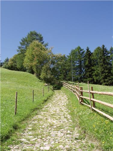 "Sentieri che collegano", la mostra autunnale al centro visita del parco Monte Corno a Trodena (Foto Ivan Plasinger)