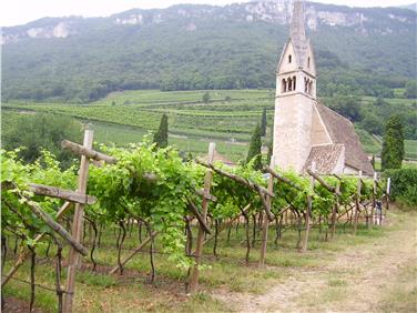L’indicazione geografica e topografica dei vini costituiscono un fattore di grande rilevanza per la vinicoltura altoatesina (Foto: USP/Uff.Frutti-Viticoltura)