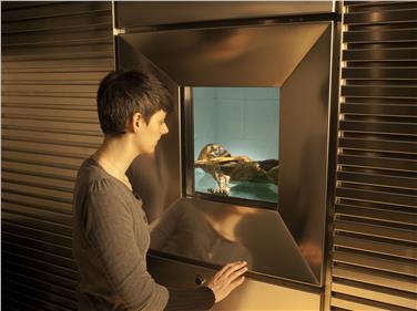 Un'immagine della cella in cui è conservato Ötzi
