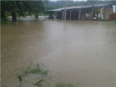 Emergenza terremoto e alluvione in Ecuador. I terreni invasi dalle acque nella Provincia di Manabí (Foto: Cooperazione allo sviluppo)