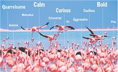 Conferenza sulle personalità animali al Museo di Scienze il 28 aprile