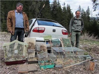 Gli uomini del Corpo forestale della Provincia con gli esemplari di uccelli sequestrati in Val Pusteria