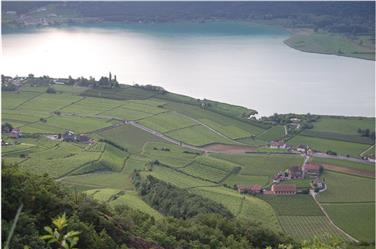 Una giornata tutta dedicata al lago di Caldaro e alla sua tutela