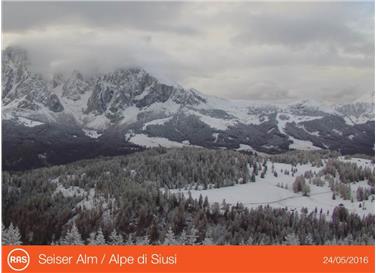 L'Alpe di Siusi innevata nell'immagine scattata dalla webcam RAS il 24 maggio (Foto: Servizio Meteo/RAS)