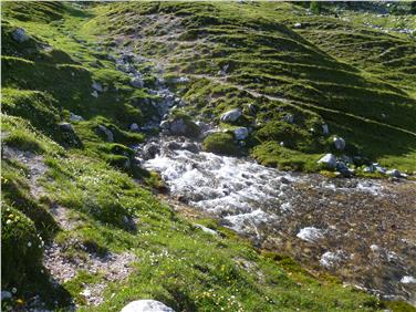 I ruscelli sorgentizi ricevono la propria acqua quasi esclusivamente da un'unica sorgente