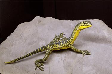 Un'immagine della mostra titolo “DinoMiti – rettili fossili e dinosauri nelle Dolomiti"
