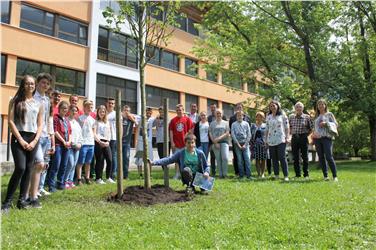 La classe 3F della scuola media di Egna, la curatrice dei Giardini Karin Kompatscher e il team dei giardinieri, il direttore scolastico Armin Haller, l'ispettore Christian Alber, il sindaco Horst Pichler con la magnolia
