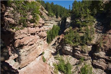 Un'immagine della gola del Bletterbach