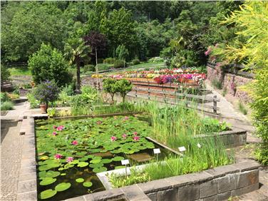 Un'immagine della Floricoltura di Laimburg