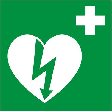Prorogato l'obbligo dei defibrillatori per le società sportive dilettantistiche (Foto www.erc.edu)