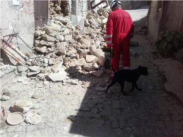 Anche le unità cinofile della Protezione civile altoatesina inviate ad Amatrice sono rientrate questa notte alla base (Foto USP/Agenzia protezione civile)