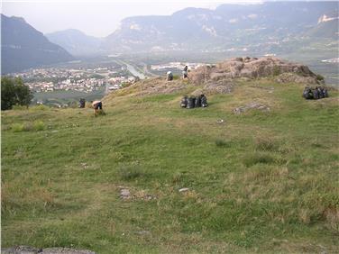 La Stazione forestale di Egna assieme al Comune di Montagna hanno eseguito un'azione di sradicazione manuale di pianta infestante a Castelfeder (Foto: USP/Uff.Pianificazione forestale)