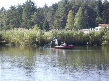 Reti nel lago di Caldaro nelle notti comprese tra il 19 e il 22 settembre (Foto USP)