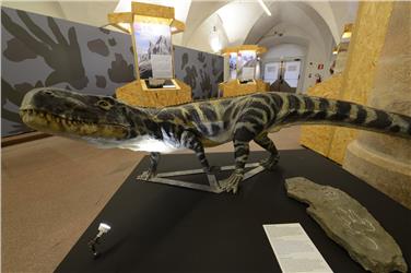 Fino al 18 settembre è visitabile al Museo di Scienze Naturali dell’Alto Adige la mostra “DinoMiti” sui rettili fossili e orme di dinosauri delle Dolomiti