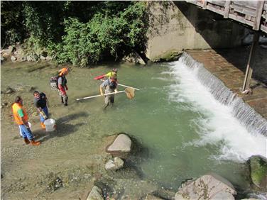 Con la pesca elettica i pesci vengono storditi e raccolti con un retino. Foto: Usp/Ufficio caccia e pesca